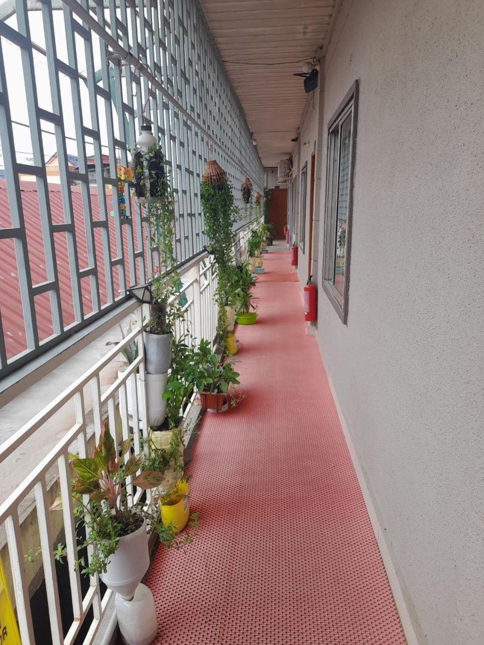 Naraya Guesthouse 프놈펜 외부 사진